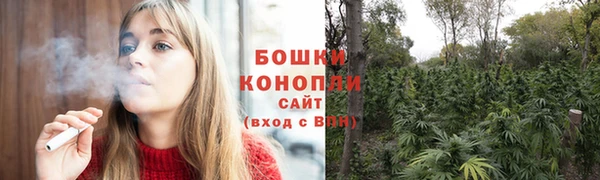 крисы Красноперекопск
