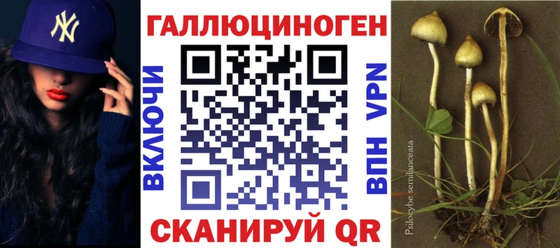 Галлюциногенные грибы GOLDEN TEACHER купить Сысерть